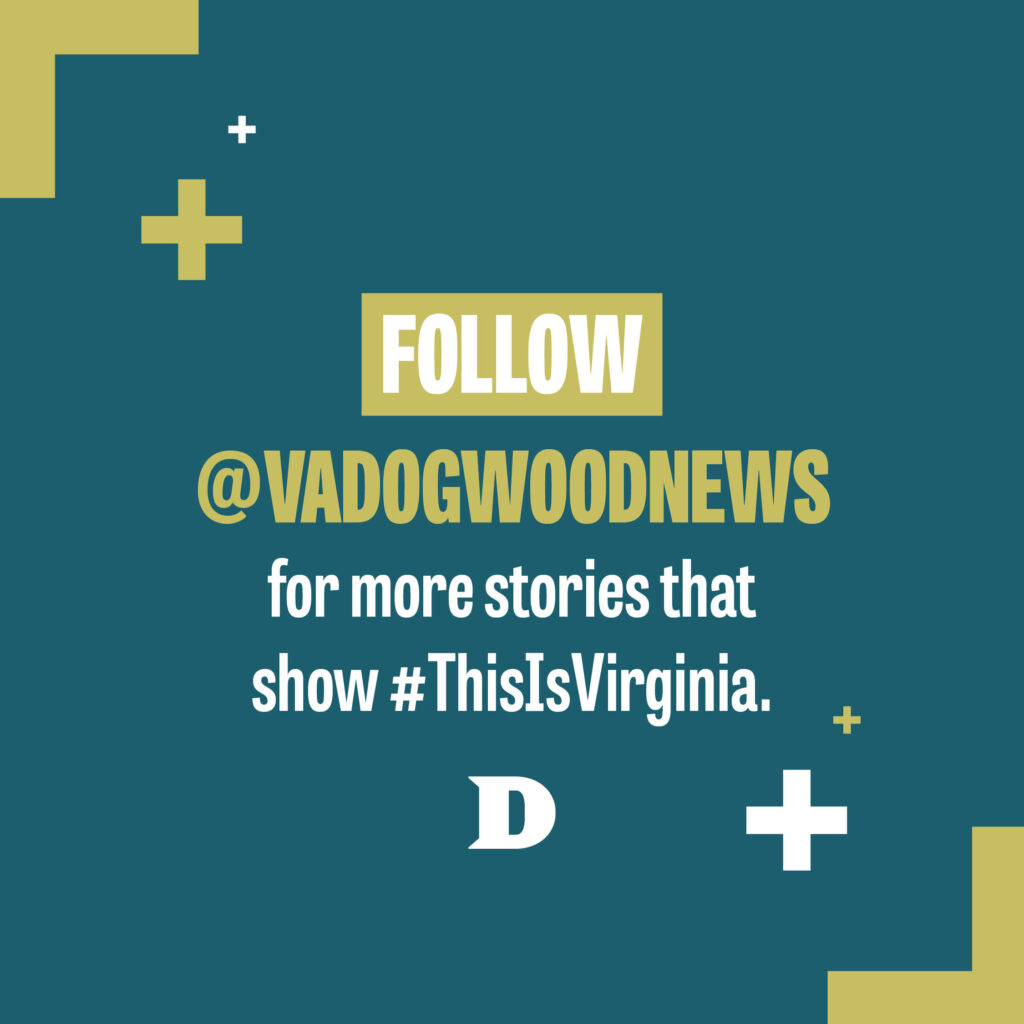 VA Dogwood News design project